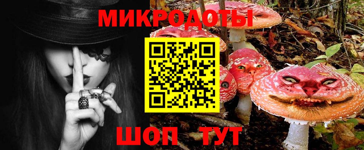 Кропоткин  Псилоцибиновые грибы Psilocybine cubensis  Вход с VPN 